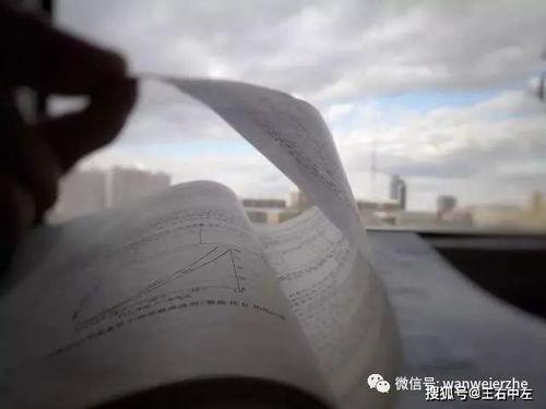 吃瓜岱宗岱本人,揭秘岱本人生的传奇故事