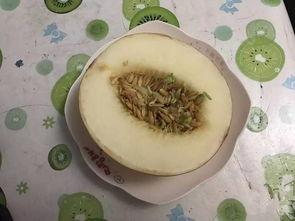 瓜大姐吃粉,一场味蕾的盛宴