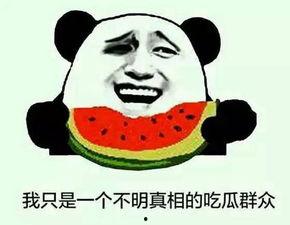 吃瓜群众很胖吗,胖瘦与娱乐心态的探讨