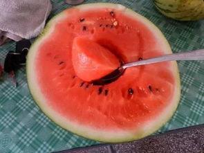 成都男人吃瓜,瓜界新势力，品味生活新风尚