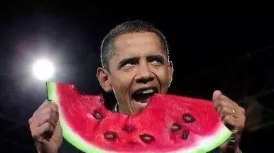 乔儿吃瓜,揭秘娱乐圈幕后故事