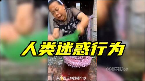 人类迷惑吃瓜行为,揭秘人类“吃瓜”背后的心理奥秘