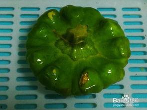 姜饼瓜尖可以吃吗,美味可口的健康食材探索