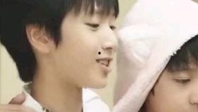 小马左右吃瓜,趣味横生揭秘瓜果世界