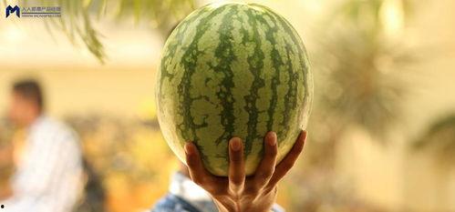 火爆的吃瓜事件,火爆事件背后的真相揭秘