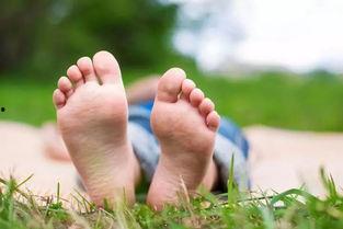 吃瓜睡觉的人群,揭秘“吃瓜群众”的睡眠奥秘